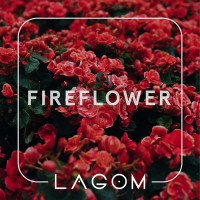 Тютюн Lagom Main Fireflower (Квітково-пряний смак) 200 гр