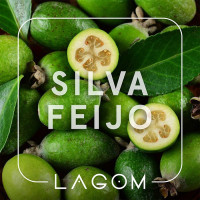 Тютюн Lagom Main Silva Feijo (Фейхоа) 40 гр