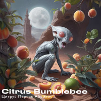 Тютюн Euphoria Citrus Bumblebee (Цитрус Персик Абрикос) 100 г 