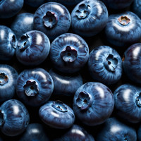 Тютюн Gutzul Oriental Blueberry (стигла лісова чорниця) 100 г