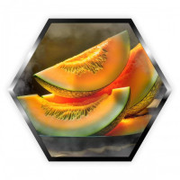Тютюн Palladium Melon (Диня) 50 г
