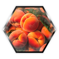 Тютюн Palladium Peach (Персик) 50 г