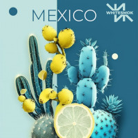 Тютюн WhiteSmok Mexico (Кактус, Лайм) 50 г