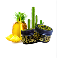 Тютюн Arawak Mexican Carnival (Ананас Кактус) 100 гр