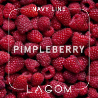 Тютюн Lagom Navy Pimpleberry (Малина) 40 г