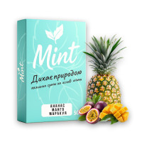 Безнікотинова суміш Mint Ананас Маракуя 100 г