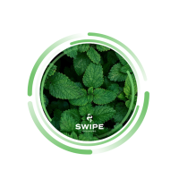 Безтютюнова суміш Swipe Mint (Мята) 50 гр